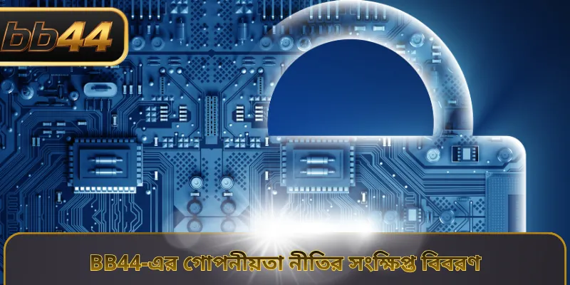 BB44-এর গোপনীয়তা নীতির সংক্ষিপ্ত বিবরণ