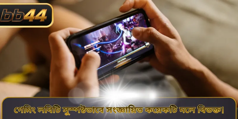গেমিং লবিটি সুস্পষ্টভাবে সংজ্ঞায়িত কয়েকটি দলে বিভক্ত।